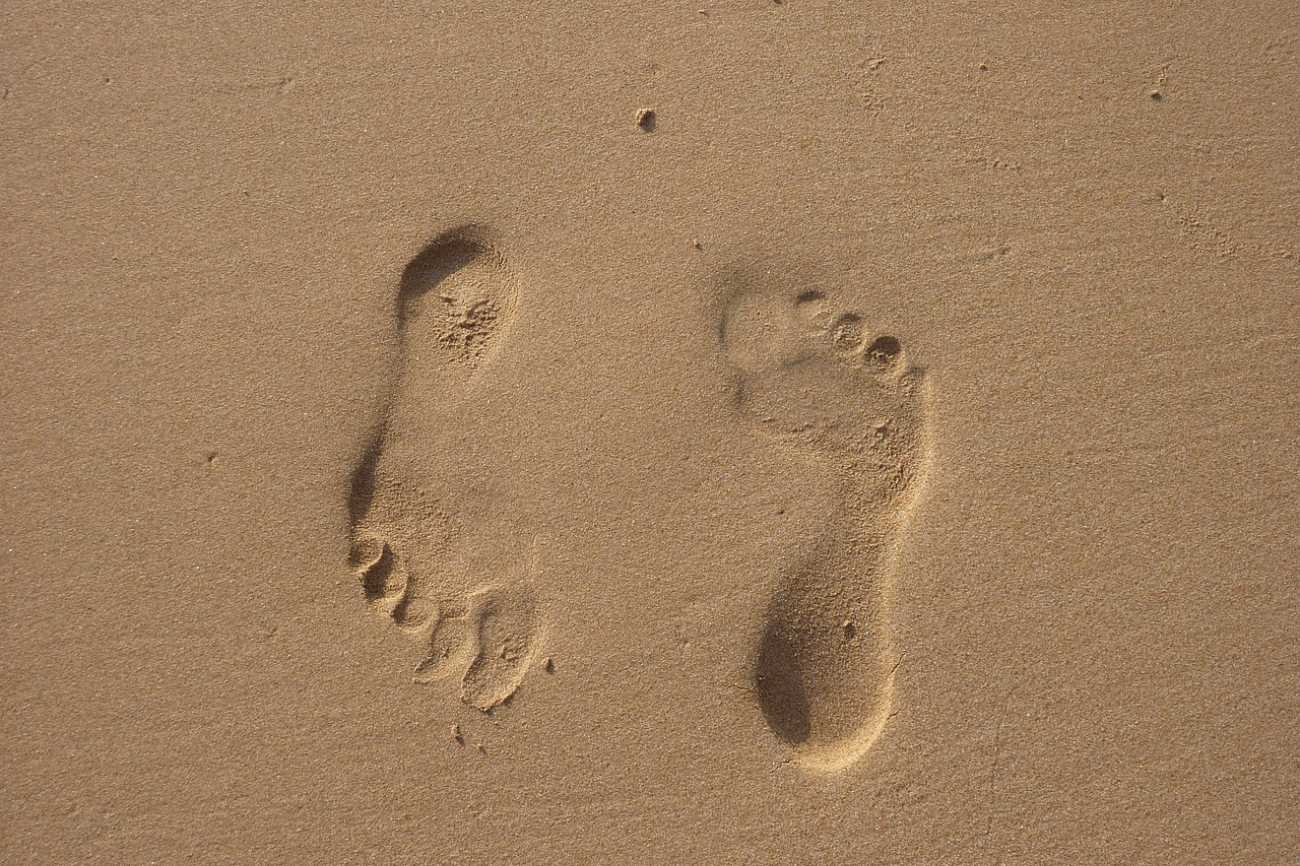 frische Spuren im Sand